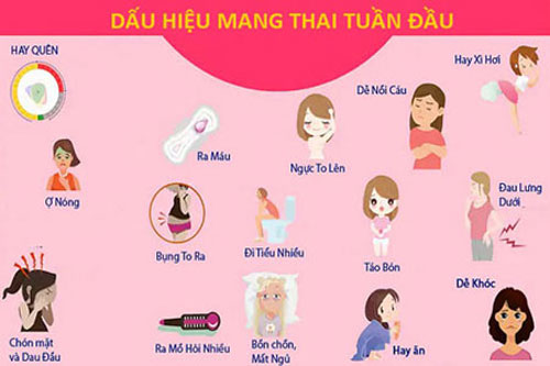 Mất Dấu Hiệu Mang Thai: Nguyên Nhân và Cách Xử Lý Hiệu Quả